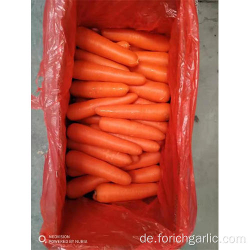 Gute Qualität frische Karotten 2019